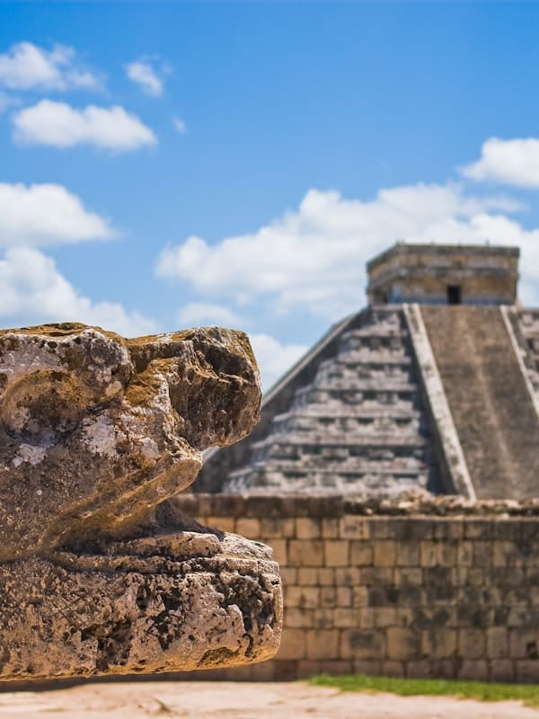 Arte y gastronomía local